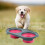 Pet Companion: Διπλά πτυσσόμενα μπολ γενικής χρήσης, πτυσσόμενος σχεδιασμός, 4