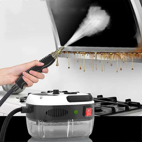 Φορητή φορητή συσκευή καθαρισμού ατμού 2500W με ατμό υψηλής θερμοκρασίας 2