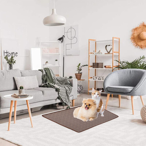 Pet Comfort Companion, Αυτοψυχόμενο χαλάκι από μετάξι πάγου υψηλής τεχνολογίας, ψυχρές 2