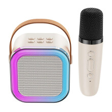 (Single wheat) Bluetooth Wireless Portable Speaker Multi-function Karaoke with 2 Microphone Music Player Karaoke Machine For Kids Adults Home
