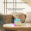 (Double Wheat)Bluetooth Wireless Portable Speaker Multi-function Karaoke with 2 Microphone Music Player Karaoke Machine For Kids Adults Home 5