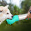 Pet Pal: Μπουκάλι νερού για σκύλους, φορητός διανομέας κατοικίδιων για υπαίθριες 5