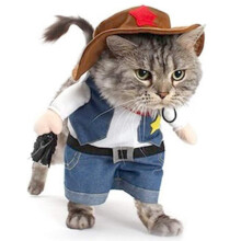 Pet Festival Wear, Funny Costume For Cats & Small Dogs Attractive For Parties And Festivals