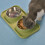 Pet Dining Elegance, Μπολ Τροφής για Γάτες με Επιθέματα Σιλικόνης, Αντιολισθητικός 5