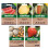 Unwins Unwins Sweet Summer Fruit Seed Bundle 1