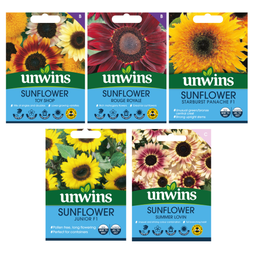 Unwins Unwins Sunflower Seed Bundle