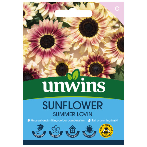 Unwins Unwins Sunflower Seed Bundle 1