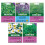Unwins Unwins Herbal Tea Seed Bundle 1