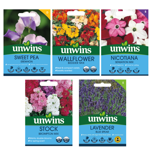 Unwins Unwins Fragrant Blooms for Bouquets Seed Bundle