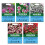 Unwins Unwins Alpine Perennial Seed Bundle 1