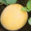 Unwins Unwins Sweet Summer Fruit Seed Bundle 8