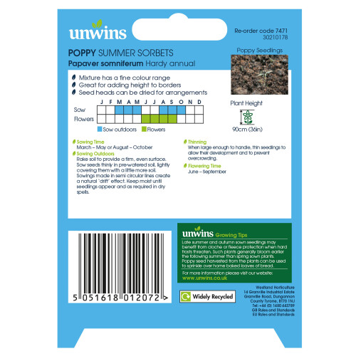 Unwins Unwins Bouquet Builder Seed Bundle 2