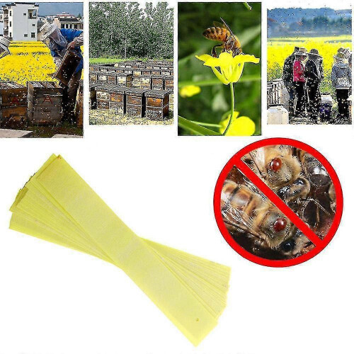 20 Pcs Bee Mite Acaricide Strip Beekeeping Bee Varroa Mite Killer Pest Control 1
