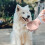 Pet Companion: Αναβαθμίστε το φορητό μπουκάλι νερού για σκύλους με στεγανό σχεδιασμό 4