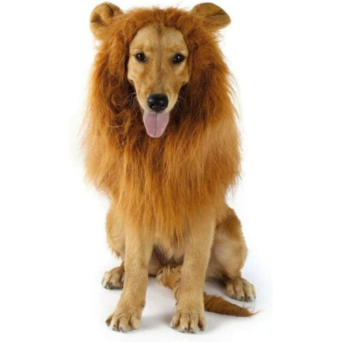 Περούκα Proud Jungle King: Ρεαλιστική περούκα με χαίτη λιονταριού για κατοικίδια, 1