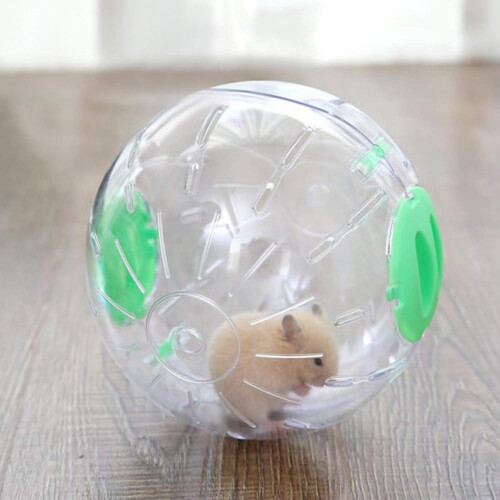 Μπάλα γυμναστικής Gerbil για μικρά ζώα: Μπάλα γυμναστικής για χάμστερ με διαφανή 1
