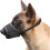 SafePaws, Ρύγχος Σκύλου με Ανθρώπινο Σχεδιασμό για Όλα τα Μεγέθη Σκύλων, Αναπνεύσιμο 1