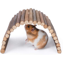 Aktivitätsspielzeug für Kleintiere, verstellbare Holzleiter fördert Erkundung und Bewegung für Hamster, Mäuse, Chinchillas, Ratten und