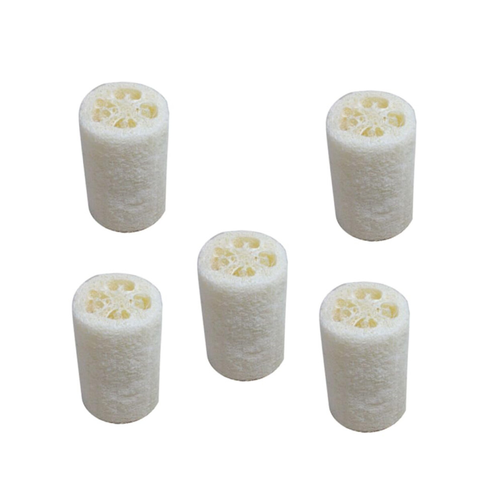 5Pcs Natural Loofah Bath Shower Sponge for Gentle Exfoliation and Multi Purpose Cleaning