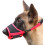 Pet Protector Plus: Anti-Bite Dog Muzzle with Reflective Strap for Enhanced Visibility and Security (Black) 1