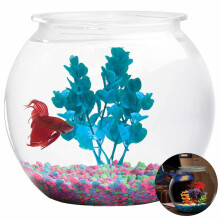 Decoratief aquarium van Aquatic Wonder, kristalheldere plastic kom voor een perfecte sfeer, breukbestendig en lichtgewicht voor een duurzame