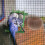 2Pièces Nourrisseur Bois Marron Pour Petits Animaux 2