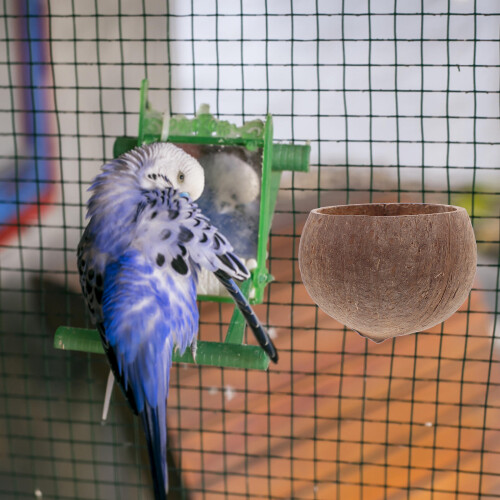 2Pièces Nourrisseur Bois Marron Pour Petits Animaux 1