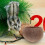 2Pièces Nourrisseur Bois Marron Pour Petits Animaux 5