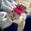 Pet Grooming Delight, Βούρτσα Σαμπουάν για Μασάζ Τριχωτού της Κεφαλής για Γάτες, Μαλακές 6
