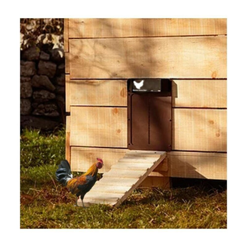 Automated Poultry Access Portal, Solar Energized, Clear Visual Interface, Programmable with Natural Light Sensor, Durable Metal Frame 1