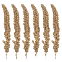 Millet Séché Naturel Pour Oiseaux De Compagnie 500G