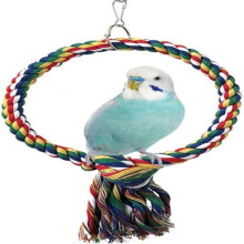 Súgradh Coganta Parrot, Gabhálais Cage Éan a Spreagann Nósanna Sláintiúla Trí Spraoi agus Aclaíocht, Bréagáin Éan Crochta do Pharrots agus