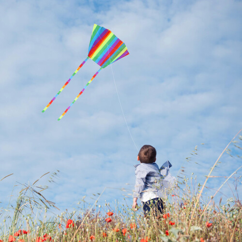 Kite Multi Colored 1 Set 20.44x24.76x0.04in 2