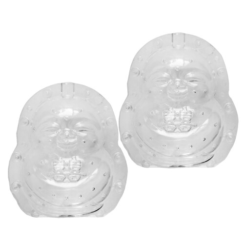 4Pcs Transparent Fruit Growing Mold Plastic for Melon Home DIY Shaping 1