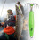 12 Needle Squid Hook With Glow Coating For Enhances Night-18g 2
