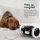 Rolling alarm clock 2024 - extra loud for heavy sleepers (Clockie Robo（mov） 3
