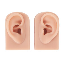 Moule d'oreille réaliste, modèle d'oreille détaillé, réplique d'oreille humaine pour la pratique du piercing, outil pédagogique, présentoir à