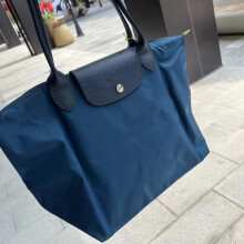 (Eco Ocean Blue, Large Long Handle) Dumpling Unique Style Large Nylon Shoulder Bag For Women With Ecofriendly Features In Hues Classic