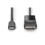 DIGITUS USB TYPE-C VERS DISPLAYPORT BIDIREZIONALE RISOLUZIONE MAX. 8K 4