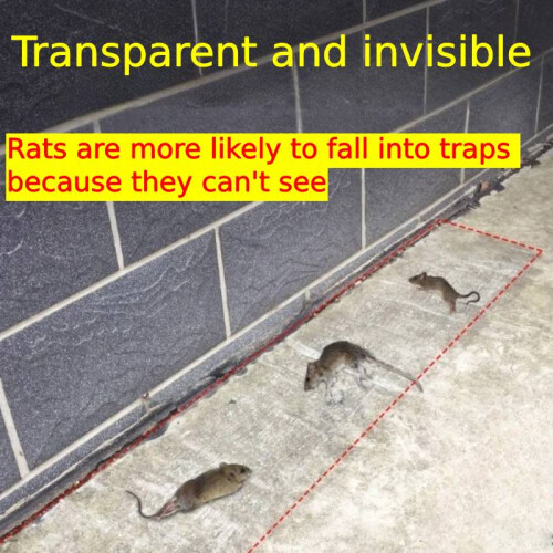 Transparent Mouse Invisible Trap Mat Rat Waterproo Large Size Snake ...