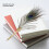 Στυλό μελάνης Vintage εργαλείο γραφής φτερών αντίκες σετ στυλό καλλιγραφίας με θήκη 7