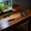 Energy Efficient Black Plastic Heater for Fish and Turtle Tanks 6