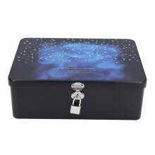 Cutie de depozitare vintage din tablă de oțel, cutie metalică cu capac cu balamale, cutie decorativă pentru bijuterii, monede, suveniruri,