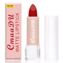 FAEYLI 15 Colors Matte Lipstick, Waterproof Longlasting Velvet Finish Makeup for Women and Girls