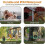 50ft ultrasonic dog barking control device Rechargeable dog barking deterrent device 2