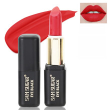 Matte Lipstick 04#Red Pigment Waterproof NonTransfer Long Lasting Lip Color for Daily Wear