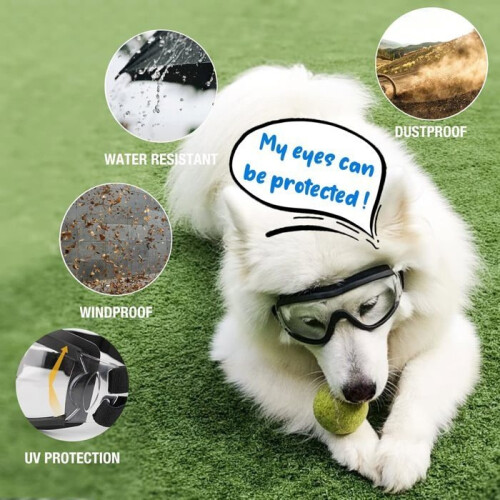 Protective goggles for dogs with adjustable strap, easy to put on, transparent. Tools > Protective Equipment 2