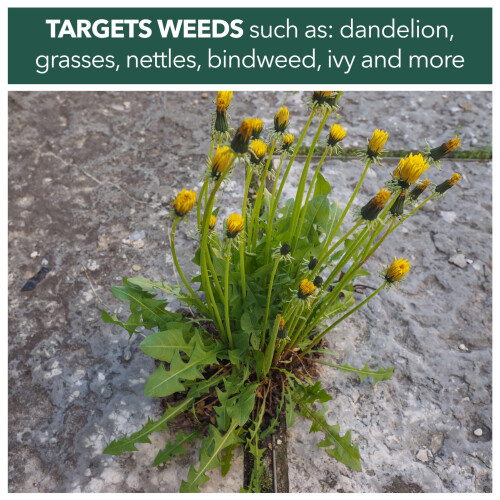 Weedblast Rootkill Weedkiller 2.5L Litre, Ready to use Glyphosate Weed Killer 2