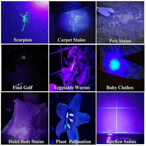 High Powerful 365nm Black Light Uv Flashlight Light High Definition Ultraviolet 2