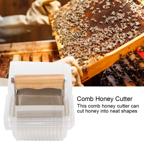 Beekeeping Tools Stainless Steel Honey Comb Cutter with Easy Grip Handle and Storage Box 2